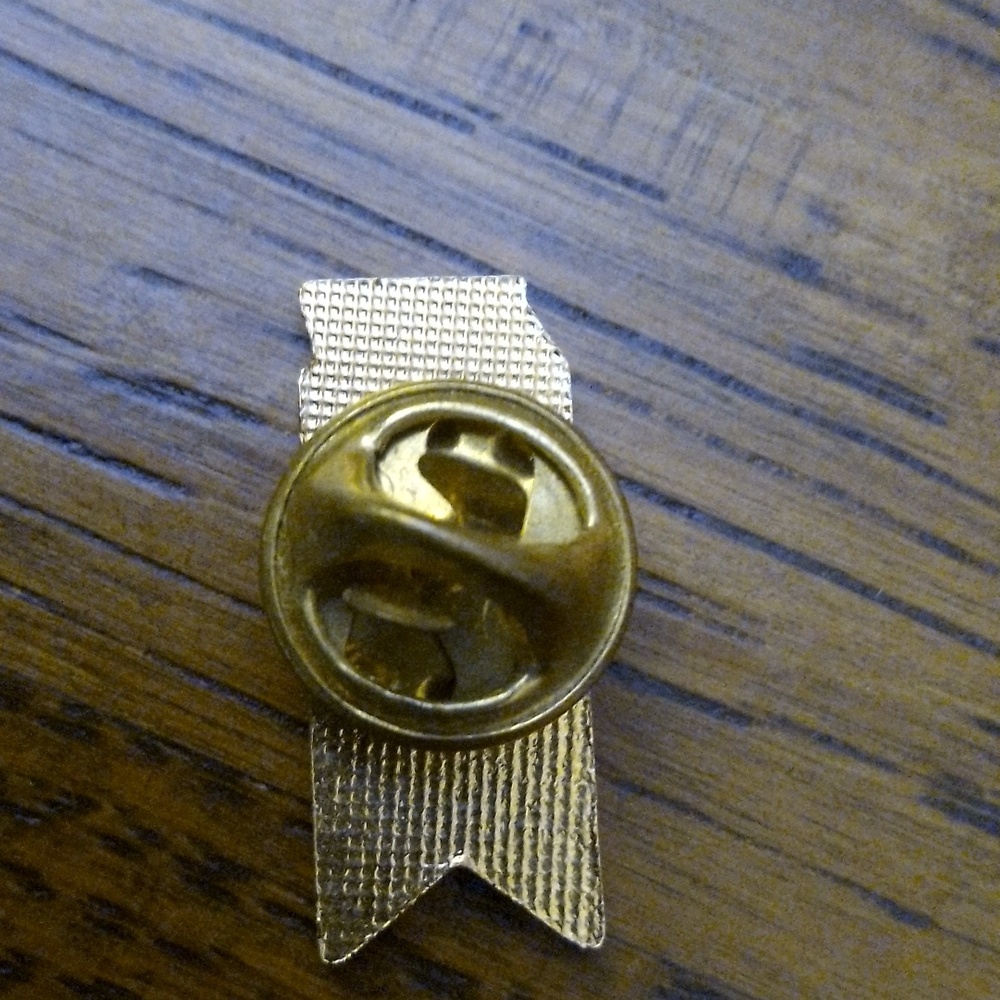 AMS district RALLY pin - Picture 2 of 2